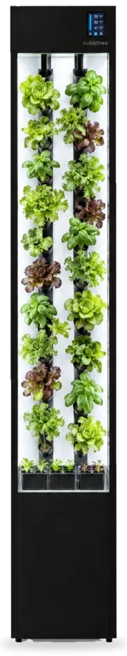 Day thirty-five: the tower full of lettuce and basil