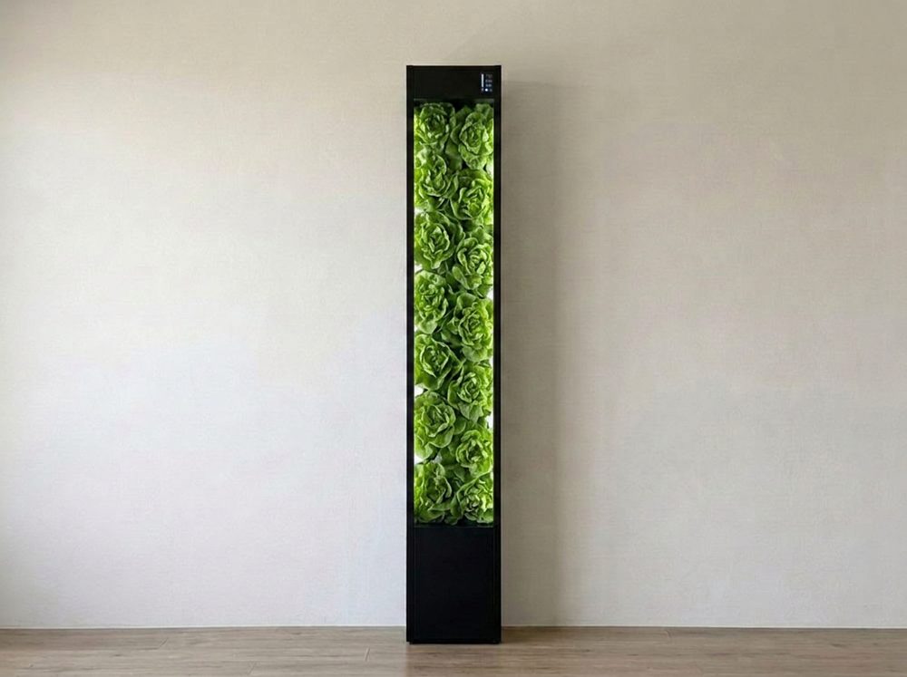 Cubictree at day thirty-five, fully grown in